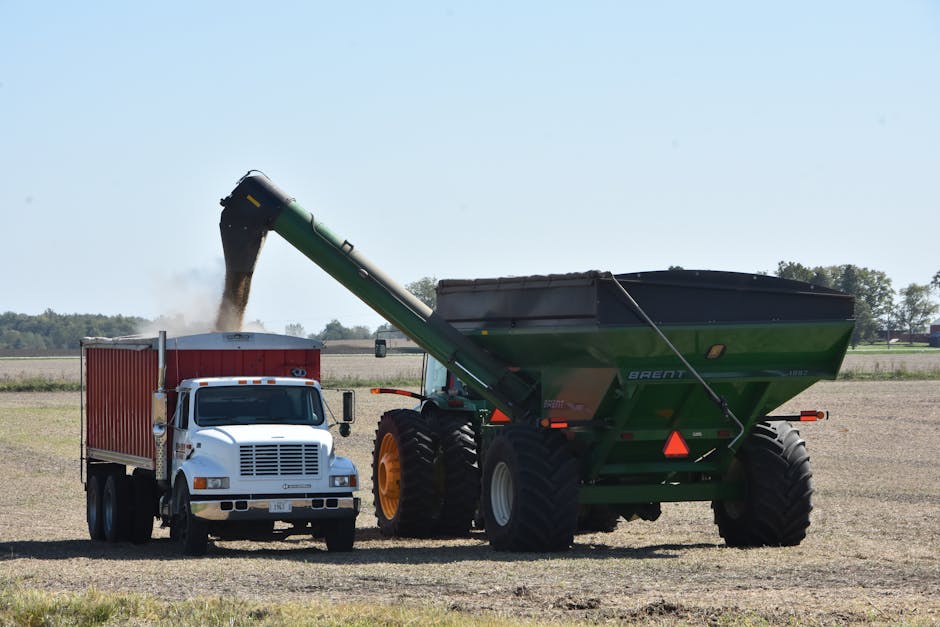 A large green agricultural vehicle with oversized tires positioned in an open field during daytime, unloading a dark material from a conveyor spout into the cargo bed of a white truck with a red enclosed trailer. The field appears dry with sparse vegetation and a distant tree line under a clear sky, suggesting an outdoor industrial or farming setting. The machinery and truck are stationary, with the material being transferred from the conveyor into the truck's cargo area, indicating an active process of bulk material handling or waste transfer, which relates to private or alternative waste removal methods supported by companies like House Clearance Brent. The scene emphasizes equipment designed for bulk collection, likely used for managing waste or recyclable materials outside of standard council services, consistent with practices in rubbish removal and site clearance activities.